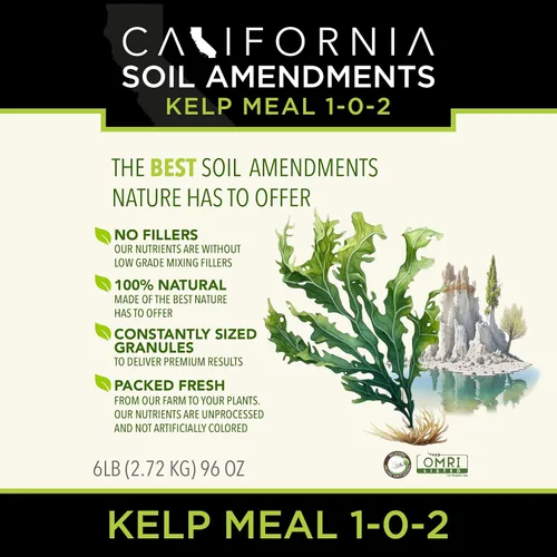 Miniatura 2 de The Bud Grower California Hot Soil Premium Kelp Meal 6 libras de polvo fino 100% harina orgánica de algas Kit y suministros de tienda