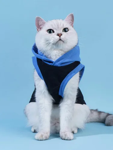 Miniatura 3 de QWINEE Camiseta sin mangas con capucha para perro con estampado de letras para gatos y cachorros, chaleco sin mangas para perro, ropa elástica