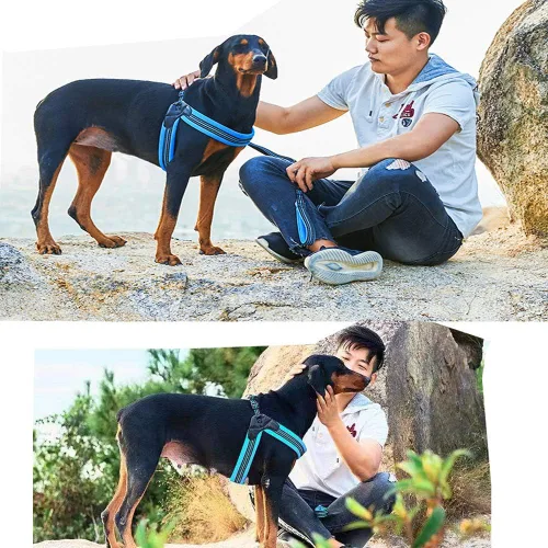 Miniatura 5 de Arnés para perro sin tirones, ultra suave, transpirable, acolchado, para mascotas, 2 botones ajustables, arnés reflectante 3M para mascotas