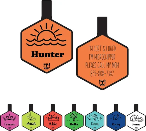 Etiqueta de silicona silenciosa para perro personalizada con 5 líneas de identificación de mascotas grabadas profundas, duradera, sin sonido, diseño
