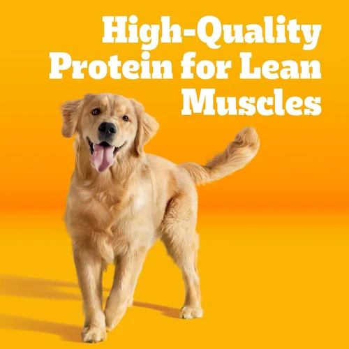 Miniatura 2 de Pedigree Alimento seco para perros adultos con alto contenido de proteínas, sabor a carne de res y cordero, bolsa de 3.5 libras