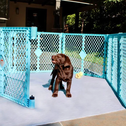 Miniatura 5 de rocket & rex Premium XL Almohadilla Lavable Antideslizante para Orina de Perros, Almohadilla para Cachorros Impermeable y Reutilizable