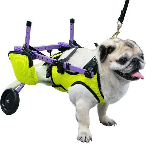 Silla de ruedas para mascotas para patas traseras, adecuada para patas traseras, silla de ruedas para perros discapacitados, movilidad para caminar,