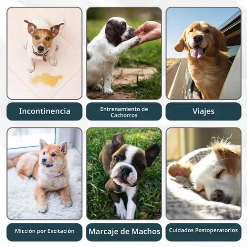 Miniatura 7 de Paw Legend - Pañales lavables para perro macho (3 unidades), S, Ejército, Gris, Marina