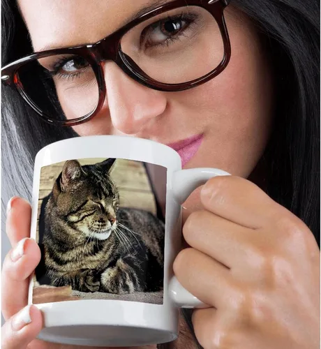 Miniatura 2 de 3dRose (mug_94870_1) Utah, Capitol Reef NP. Sleeping atigrado cat - US45 RER0114 - Ric Ergenbright - Taza de cerámica, 11 onzas Blanco