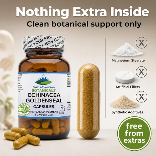 Miniatura 7 de Pure Mountain Botanicals Cápsulas de sello de oro de equinácea – 450 mg de complejo orgánico de raíz de equinácea y sello de oro – 90 cápsulas