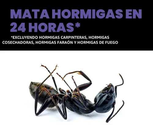 Miniatura 3 de STEM - Cebos líquidos para hormigas, mata a la reina y la colonia, para uso en interiores, 4 estaciones de cebo a prueba de derrames