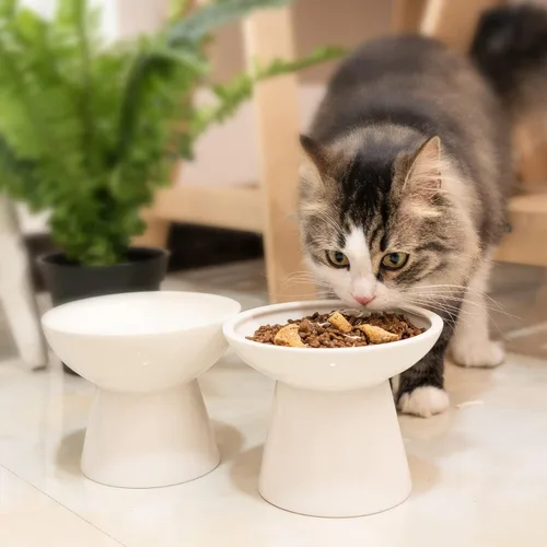 Miniatura 4 de CEEFU Cuenco de agua elevado extra ancho de cerámica para gatos, plato de 6.2 pulgadas más profundo para aliviar la fatiga de los bigotes, 5 Blanco