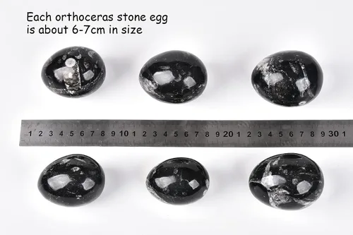 Miniatura 3 de AMOYSTONE Orthoceras Huevo negro con base de piedra natural para curar reiki decoración del hogar, tamaño mediano, altura individual 2.5-3 pulgadas