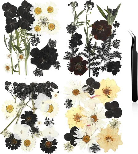 Nuanchu Flores secas prensadas negras para manualidades, flores secas góticas, flores silvestres prensadas naturales a granel con pinzas para molde