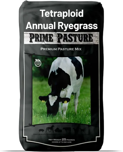 Miniatura 6 de Outsidepride Semillas anuales de Ryegrass – 5 libras. Resistentes y de crecimiento rápido, semillas de cultivo de cobertura para plantar hojas