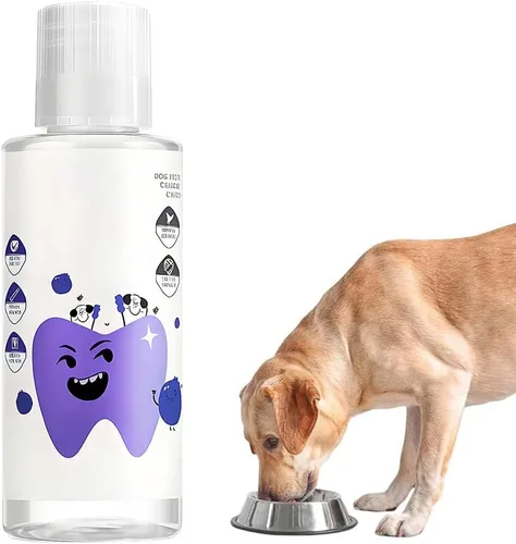 Aditivo de agua dental, nuevo aditivo de agua dental para reducir la placa y el sarro, ambientador de aliento dental y encías, fórmula natural,