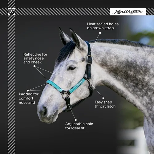 Miniatura 4 de Kensington Premium Nylon Halter Tamaño: XL-Lrg. Color del caballo: 2019 - Imperial Jade 2-2019 - Imperial Jade