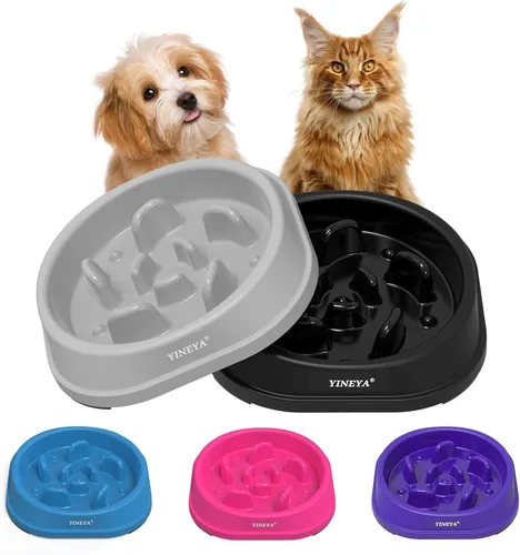 Miniatura 16 de YINEYA Cuencos de Alimentación Lenta para Perros, Suministros para Mascotas Que Ralentizan la Alimentación, Cuencos para Comida de Mascotas, H - azul