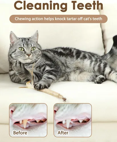 Miniatura 3 de Tocirelo Juguetes Masticables para Gatitos para la Dentición - Paquete de 6 Palitos Naturales de Silvervine para Gatos, Juguete de Plumas de Gato