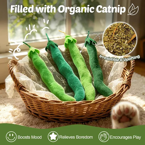 Miniatura 4 de CiyvoLyeen Juguete de hierba gatera, juguetes para gatos de frijoles verdes, suministros interactivos, pateador, verduras, vegano, salud dental