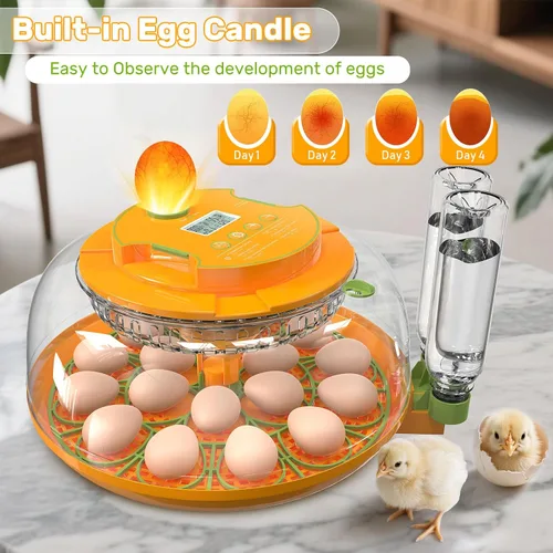 Miniatura 4 de 18 incubadoras de huevos para incubar huevos, incubadora de huevos con giro automático y control de humedad, reposición automática de agua, 2