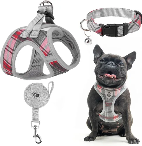 Miniatura 23 de EXPAWLORER Arnés Clásico de Plátanos para Cachorros - Juego de Arnés y Correa para Perros Pequeños - Juego de Collar y Correa para Perros con Azul