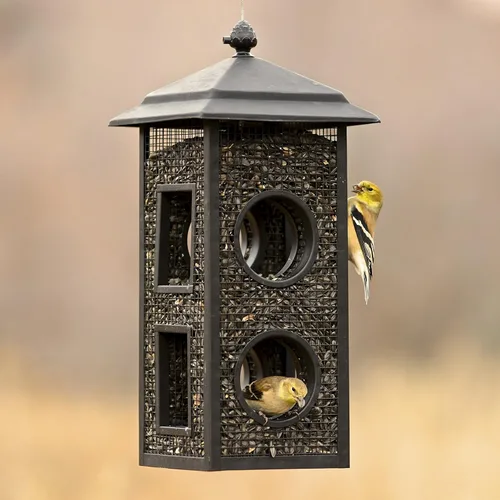 Miniatura 7 de Perky-Pet B00303 Comedero para pájaros silvestres con vuelo