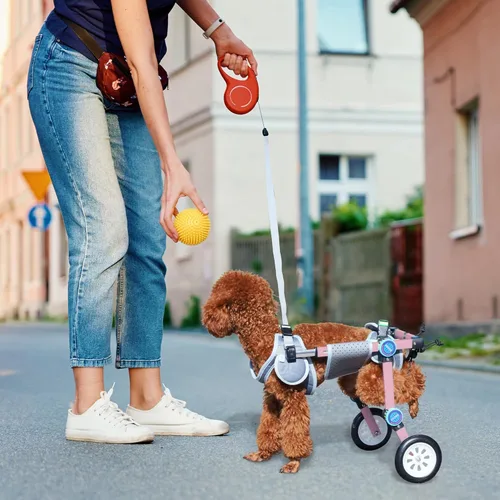 Miniatura 6 de Silla de ruedas ajustable para perros para patas traseras, soporte de movilidad, silla de ruedas ligera para mascotas con patas traseras