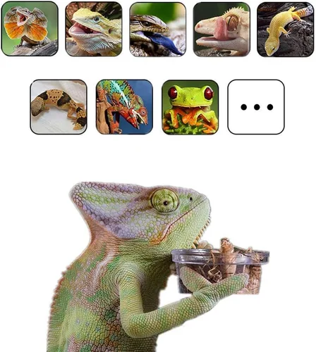 Miniatura 6 de Plato de comida Gecko crestado, 100 unidades, tazas de alimentación de reptiles de plástico de 0.5 onzas