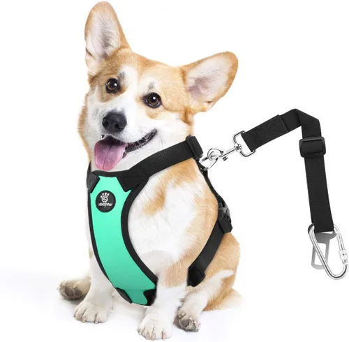 Miniatura 13 de VavoPaw cinturón de seguridad para perro, arnés de coche con peto de seguridad y hebilla ajustable para vehículo, cinturón de seguridad de nailon