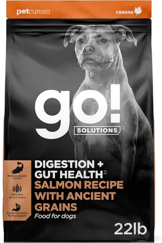 Go! Solutions Digestion + Gut Health - Alimento seco para perros con salmón, 22 libras | Chicken-Free Kibble for Gastrointestinal & Digestive