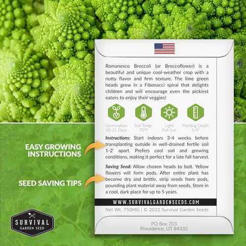 Miniatura 2 de Romanesco - Semillas de brócoli para plantar, vegetales exóticos italianos tradicionales con cabezas en espiral únicas, alto rendimiento, cultivo