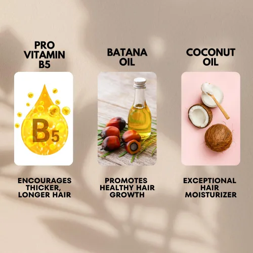 Miniatura 6 de AllDay Locks Batana Aceite para el crecimiento del cabello, cabello saludable, más grueso, más fuerte y brillante, 100% aceite de batana hondureño