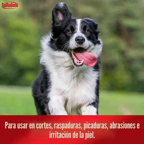 Miniatura 7 de Sulfodene, pomada de 3 vías para perros, S, Blanco