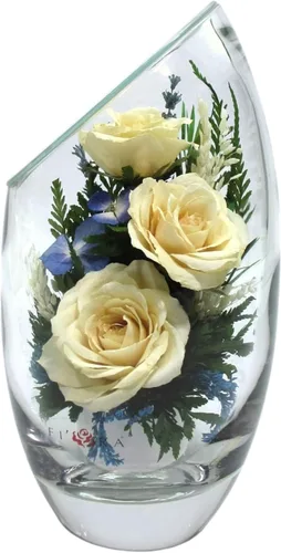 Miniatura 12 de Fiora Flower Rosas preservadas y arreglo floral en jarrón de vidrio sellado Dura hasta 5 años Regalo elegante para bodas, cumpleaños y Rojo