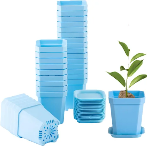 Miniatura 15 de Macetas de vivero transparentes verdes de 3 pulgadas de Foxany, 30 piezas de maceta de plástico grueso, paquete variado de macetas cuadradas