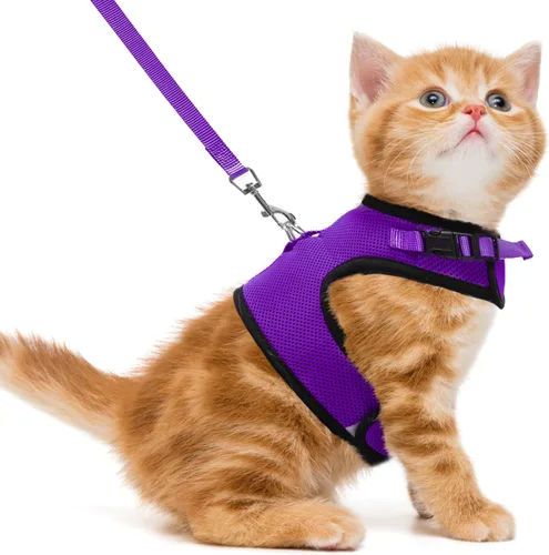 Miniatura 25 de PUPTECK Juego de arnés y correa de malla suave para gatos, arnés acolchado para mascotas, a prueba de escape, para gatos, perros pequeños, conejos