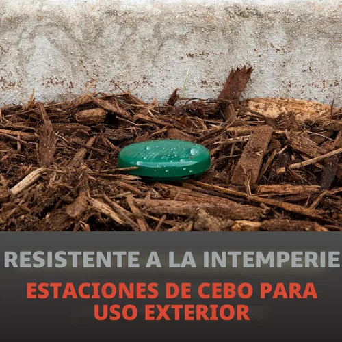 Miniatura 6 de Spectracide Ant Shield, estacas para matar hormigas en exteriores de 6 unidades, paquete de 1