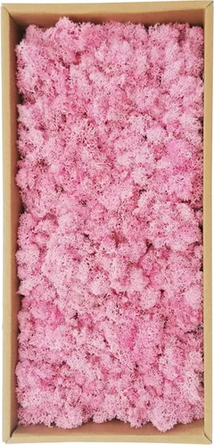 Miniatura 12 de Musgo artificial preservado de 1.1 libras para plantas en maceta, musgo verde fresco natural para manualidades, musgo artificial, orquídea floral