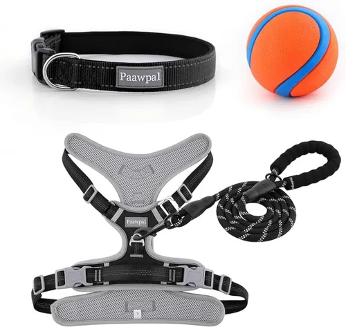 Miniatura 9 de Arnés ajustable para perro, sin tirones, reflectante, acolchado suave para perros pequeños, medianos y grandes, incluye correa y collar, beige, XS