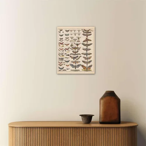Miniatura 6 de Meishe Art Póster Impreso Vintage Polilla Insectos Razas Identificación Tabla de Referencia Colección de Especies Diagrama de Entomología Aula Club