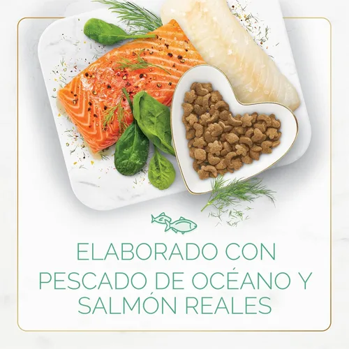 Miniatura 4 de Comida seca Purina Fancy Feast para gatos con pescado del océano y salmón - Bolsa de 3 libras