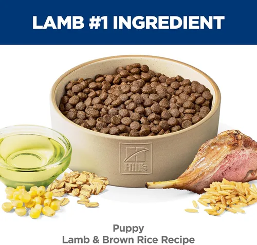 Miniatura 4 de Hill's Science Diet Alimento seco para cachorros, harina de cordero y arroz integral, bolsa de 12.5 libras