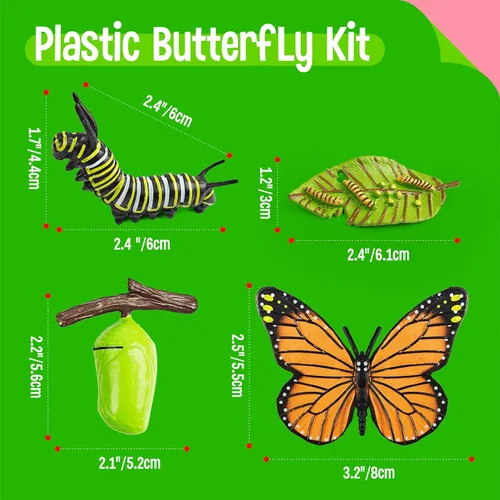Miniatura 3 de 15 tarjetas de mariposa con 4 figuras de plástico, tarjetas de introducción de mariposas, insectos, huevo a mariposa, kit de juguete para niños