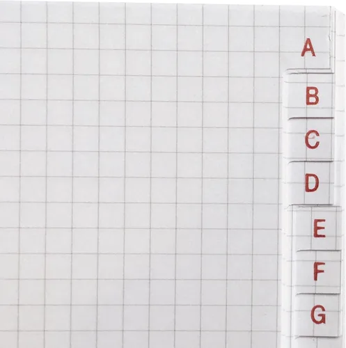 Miniatura 2 de Basicos MR 10420 - Cuaderno A6 de piel flexible con 300 páginas con cuadrícula con índice - Viene con goma - Negro