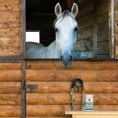 Miniatura 6 de Coat Defense Polvo preventivo diario y tratamiento de pudrición por lluvia para caballos Picazón dulce equino seguro y eficaz, piel funk, arañazos