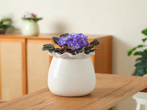 Miniatura 7 de Fayoula Maceta de riego automático, mantenimiento de macetas de violeta africana de 6 pulgadas, maceta de cerámica con riego automático para plantas