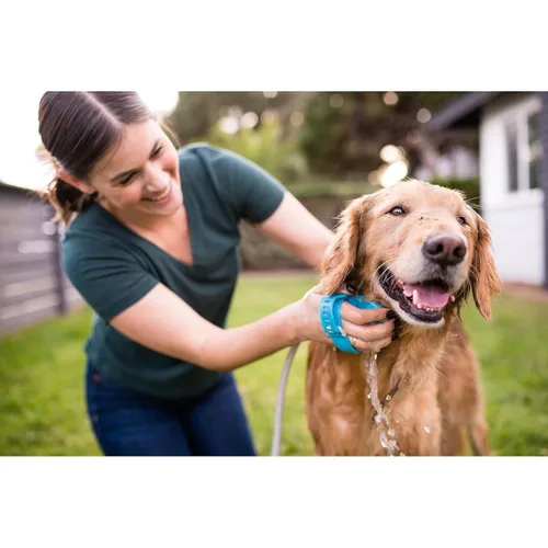 Miniatura 6 de Aquapaw Cepillo de baño para perros Pro y accesorio de ducha para perros, goma de silicona grande, rociador y depurador en uno con accesorio
