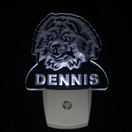Miniatura 5 de AdvPro ws1062-tm Chow Chow Dog - Luz nocturna personalizada con nombre y sensor de día/noche