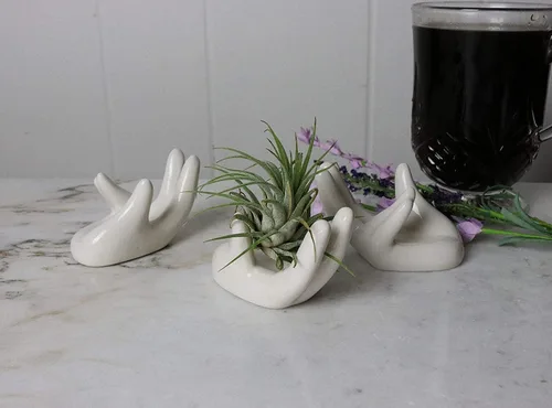 Miniatura 6 de 2 PCS Soporte para Plantas de Aire Lindo Soporte de Cerámica en Forma de Mini Mano Plantas de Aire Tillandsia Contenedor Pequeño Maceta Decoración