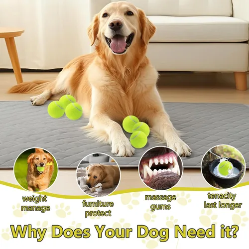 Miniatura 6 de Swingers Pelotas de tenis chirriantes para perro, pelotas de tenis de entrenamiento de 2.5 pulgadas, pelota de ejercicio para mascotas y perros