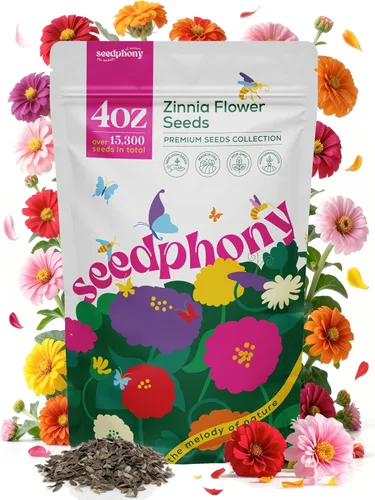 Miniatura 11 de Seedphony Paquete de semillas de equinácea de 1 onza – 9,300 semillas de equinácea sin OMG para plantar, flores perennes en paquete de semillas