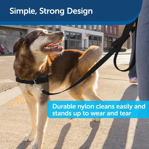 Miniatura 4 de PetSafe Correa de nailon para perro, resistente, duradera, de estilo tradicional con broche de perno fácil de usar para perros pequeños, medianos
