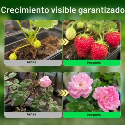 Miniatura 4 de VIVOSUN Paquete de Nutrientes Líquidos Base A & B, Fertilizante Hidropónico para Crecimiento Grande, Apoya Etapas Vegetativas y de Floración